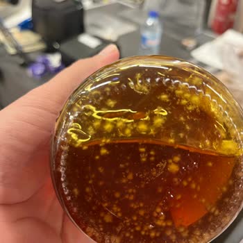 Kapalı Ambalajda Küflenmiş Bal Ve İade Sorunu: Migros'ta Hayal Kırıklığı