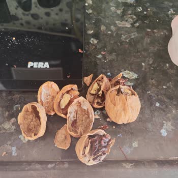 Kurtlu Cevizler İçin İade Ve İnceleme Talebime Çitlekçi'den Destek Alamıyorum