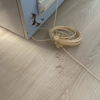 Konsol Ayağı Kırıldı, Televizyonum Zarar Gördü: Maddi Kayıp Ve Mağduriyet