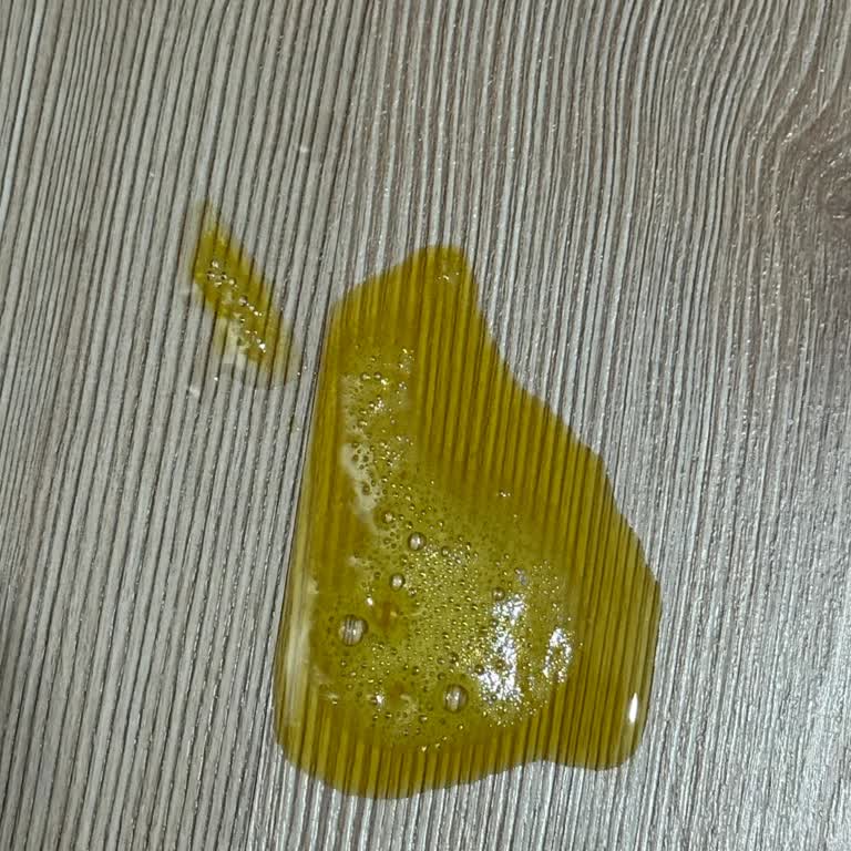 Jungle Kuzu Etli Kedi Maması Kedilerimde Zehirlenmeye Ve Yüksek Veteriner Masraflarına Sebep Oldu