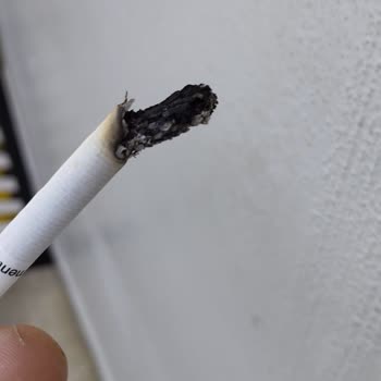 Sürekli Odun Parçalı Sigara Paketi Sorunu