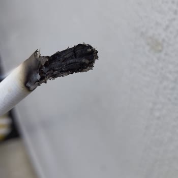 Sürekli Odun Parçalı Sigara Paketi Sorunu