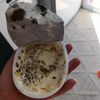 Son Kullanma Tarihine Rağmen Sütaş Labne Kısa Sürede Küflendi