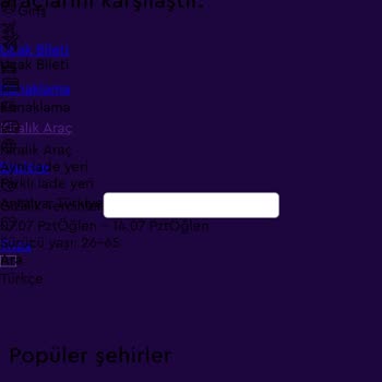 Momondo Webpage Display Broken on iPhone 14 Pro Max – Unable to Rent Car