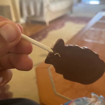 Çikolata Paketinden Kurt Çıktı Market Ve Firma Çözüm Sunmadı