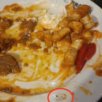 Yemekte Plastik Parçası Ve İlgisiz Restoran Yetkilileri