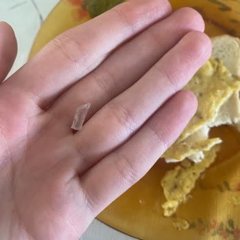 Tost Ekmeğinden Cam Parçası Çıktı, Müşteri Hizmetlerine Ulaşılamıyor!