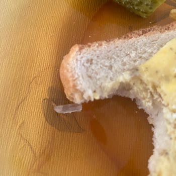 Tost Ekmeğinden Cam Parçası Çıktı, Müşteri Hizmetlerine Ulaşılamıyor!