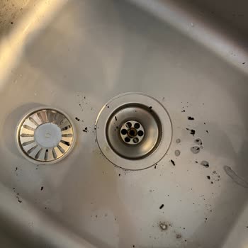 Ebebek'ten Alınan Promalt İçecekte Sağlık Riski Ve Çözüm Eksikliği