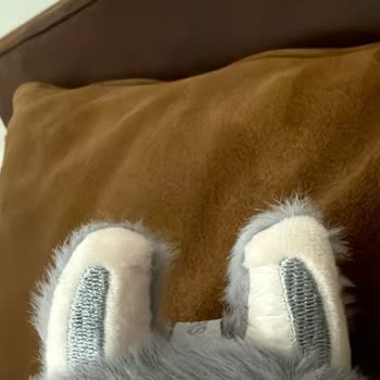 Aldığım Labubu Oyuncak Sahte Çıktı, Paramın İadesini İstiyorum