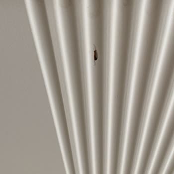 135 Bin TL’lik Koltuk Takımı Bir Yıl Dolmadan Arızalandı, Garanti Reddiyle Karşılaştım