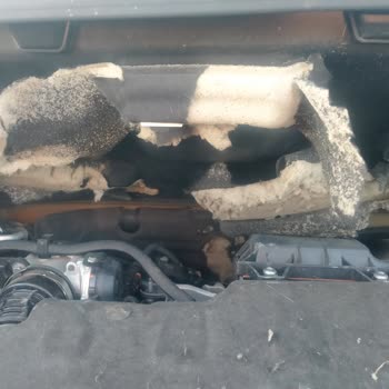Sıfır Araçta Motor Koruma Yetersizliği Ve Garanti Dışı Bırakılan Zarar