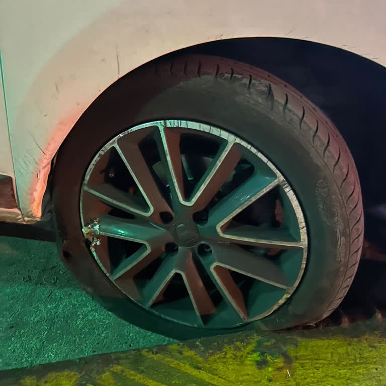 Dacia Lodgy Onarımı Gecikti Yedek Araç Sürem Bitiyor Mağduriyetim Büyüyor