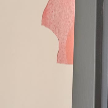 Kurulum Sırasında Duvar Boyası Döküldü Personel Kaba Davrandı Çözüm Sunulmadı