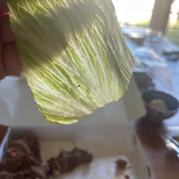 Siparişte Böcek Ve Küf Şoku: Hijyen Sorunu Ve İade Talebi