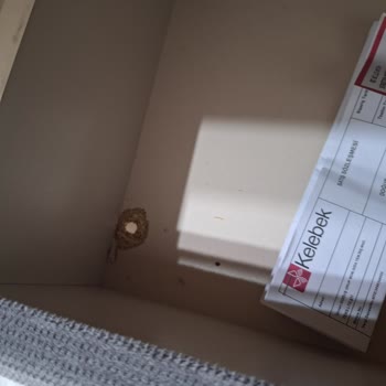 Garanti Kapsamındaki Koltuk Onarımı İçin Uzayan Süreç Ve Bilgi Eksikliği