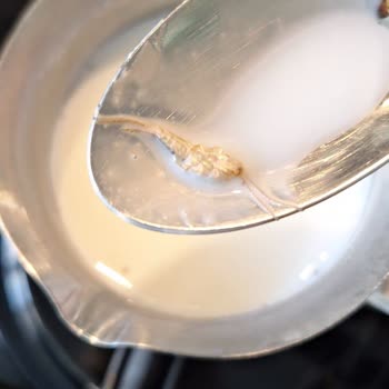 Migros Laktozsuz Süt İçinden Böcek Çıkması Ve Güven Sorunu