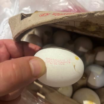 Migros Sanal Market'ten Bozuk Ürün Teslimatı ve İlgisiz Müşteri Hizmetleri