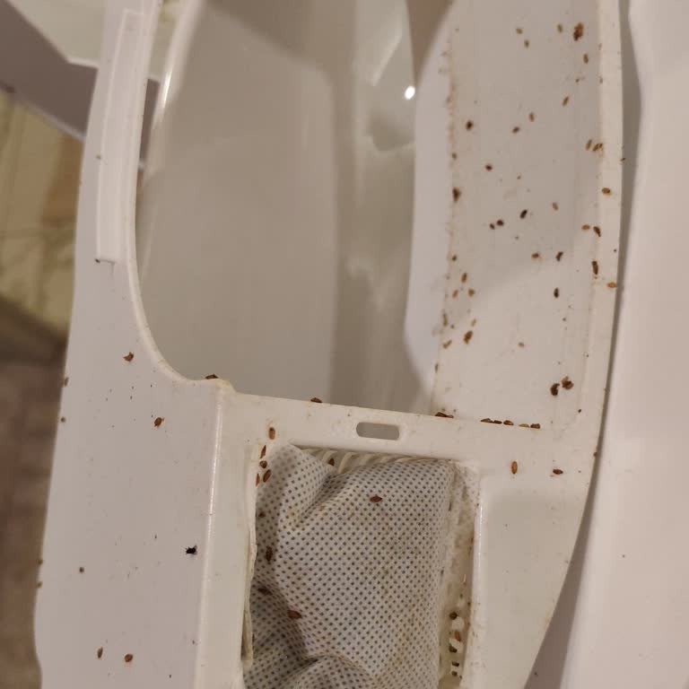 Kiwi Pets Otomatik Kedi Tuvaleti Kusurlu