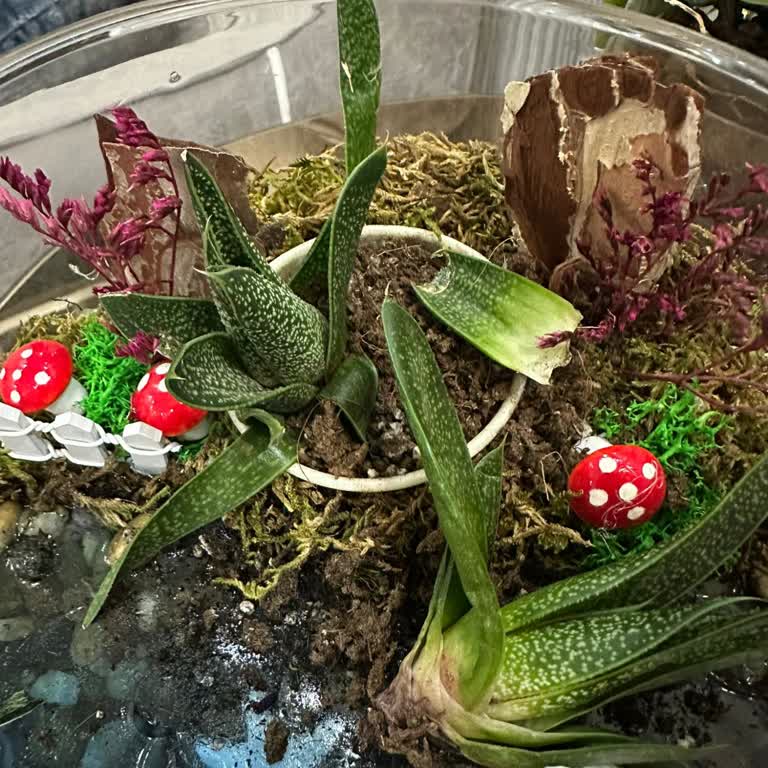 Kırık Ve Eksik Gelen Hediye İçin Müşteri Hizmetlerinden Çözüm Alamadım