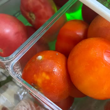 Aylarca Bekletilen Tazminat Talebim Cevapsız Kaldı