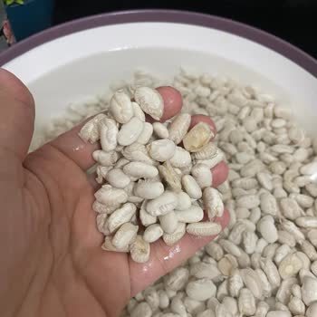 Tarım Kooperatifinden Aldığım Fasulye Suda Dağıldı, Ürün Değişimi Talep Ediyorum