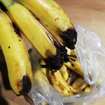 Çürük Muz Ve Olgunlaşmamış Limon Gönderildi, İade Talebim Cevapsız Kaldı