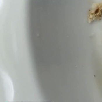 Özdanacı Kuruyemiş Soyalı Fıstık Kurtlu