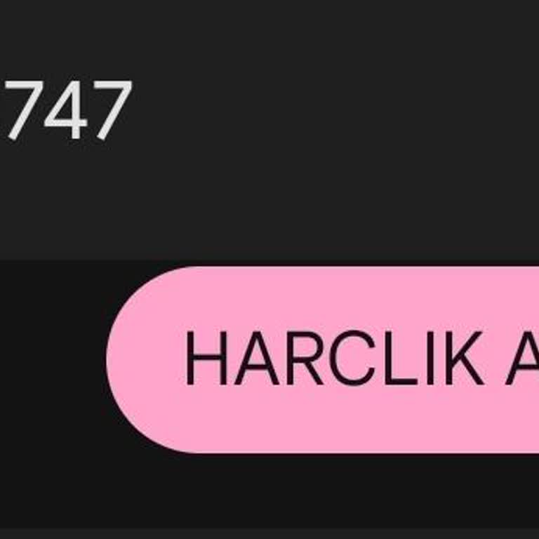 Harçlık Avans Hesabı Hareketleri Uygulamada Görüntülenemiyor