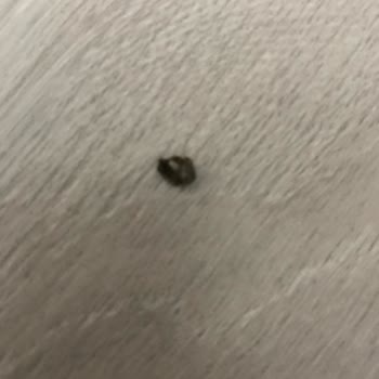 Dondurmadan Taş Çıkması Sonrası İlgisiz Müşteri Hizmeti