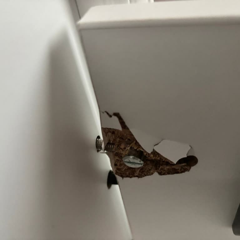 Garanti Kapsamında Karyola Yan Tahtası Hasarı İçin Çözüm Bekliyorum