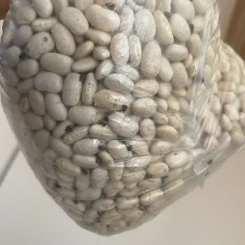 Migros’tan Aldığım Kuru Bakliyat Böcekli Çıktı, İade Ve Ücret İadesi Yapılmıyor