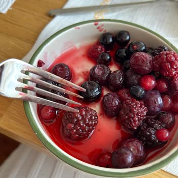 Dondurulmuş Orman Meyvesinde Kurt Şoku Ve İlgisiz Müşteri Hizmeti