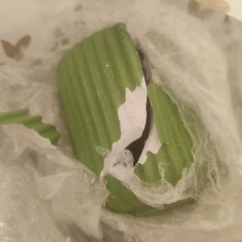 PTT Kargo İle Gönderdiğim Hediye Seti Kırık Ulaştı, Hasar Ve Ücret İadesi Talebim Var