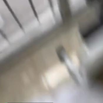Esenler Belediyesi Bir Buçuk Aydır Sorunuma Çözüm Bulamıyor.