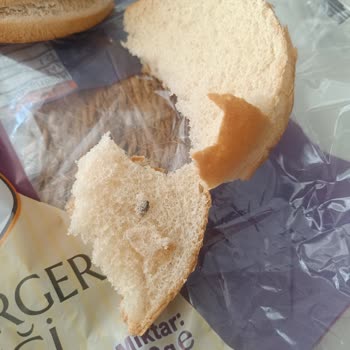 Hamburger Ekmeğinde Fare Dışkısı Buldum, Çocuklarımın Sağlığından Endişeliyim