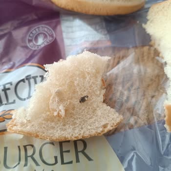 Hamburger Ekmeğinde Fare Dışkısı Buldum, Çocuklarımın Sağlığından Endişeliyim