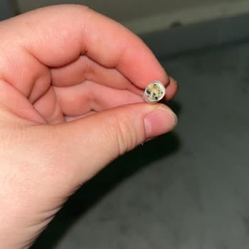 Aldığım Sigarada Küf Çıktı Sağlığım Ve Param Tehlikede