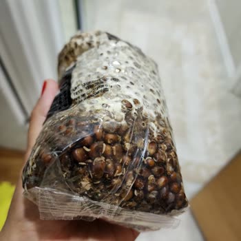 Son Kullanma Tarihi Geçmemiş Üründe Kurtlanma Ve Amazon'dan Yetersiz Destek