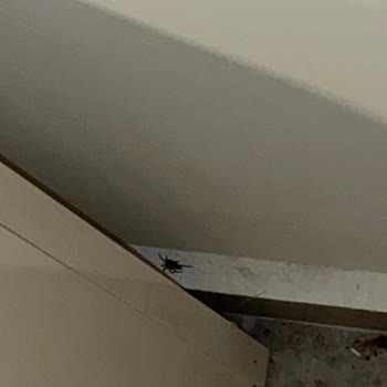 Oda Temizliği Yapılmadı Ve Şarj Aletim Kayboldu, Otel Yönetimi İlgisiz Kaldı