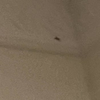 Oda Temizliği Yapılmadı Ve Şarj Aletim Kayboldu, Otel Yönetimi İlgisiz Kaldı