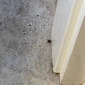 Oda Temizliği Yapılmadı Ve Şarj Aletim Kayboldu, Otel Yönetimi İlgisiz Kaldı