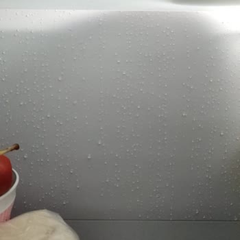 Yeni Alınan Buzdolabında Karlanma Sorunu Ve Yetersiz Destek