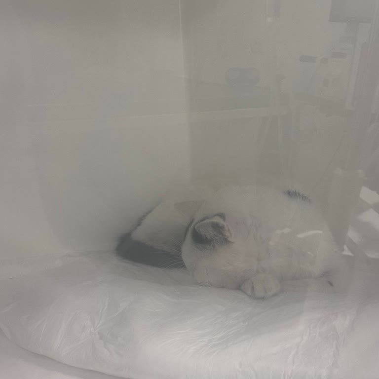 Yanlış Teşhis Ve Faturasız Yüksek Ücretle Mağduriyet Yaşadık