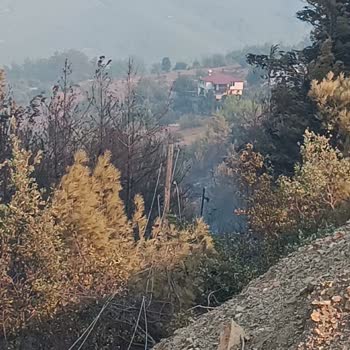 Elektrik Direkleri Tarlamdan Geçiyor Mağduriyetim Giderilmiyor