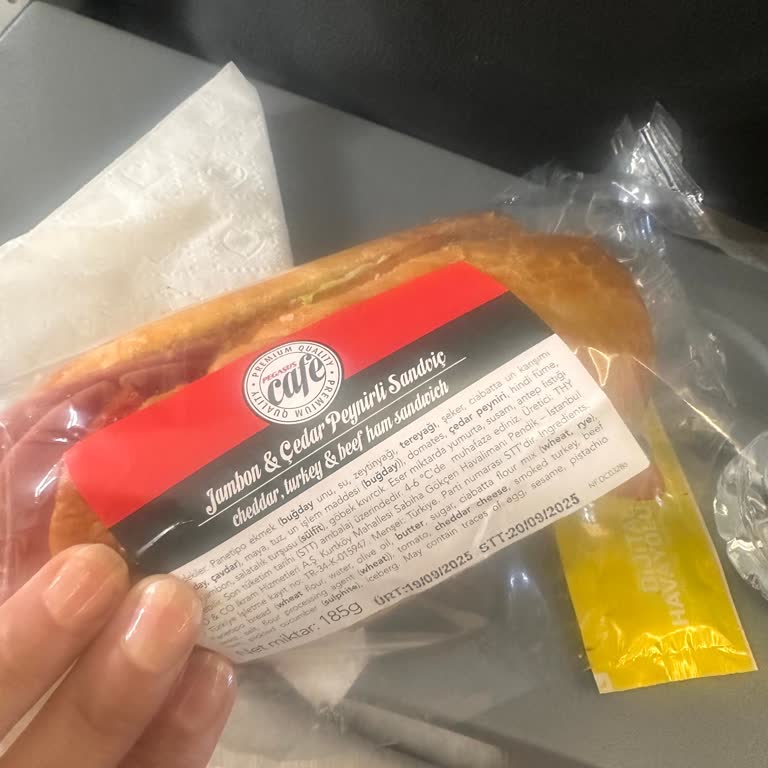 Uçakta Satın Alınan Sandviç Sonrası Yaşanan Sağlık Sorunları Ve Mağduriyet