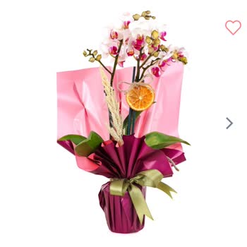 Siparişimde İstenmeyen Ürün Gönderimi Ve İade Sorunu Yaşadım