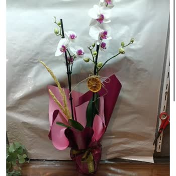 Siparişimde İstenmeyen Ürün Gönderimi Ve İade Sorunu Yaşadım