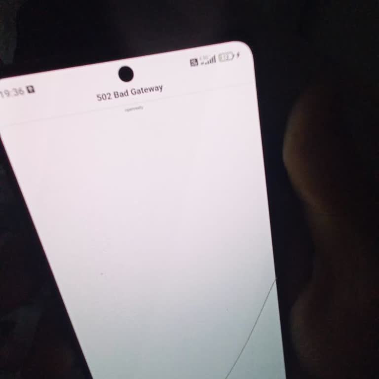 Bal Ağı Platformunda Yatırdığım Paraya Ve Hesabıma Erişemiyorum