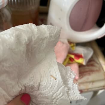 Aldığım Buğday Ununda Böcek Çıkması Ve İlgisiz Müşteri Hizmeti